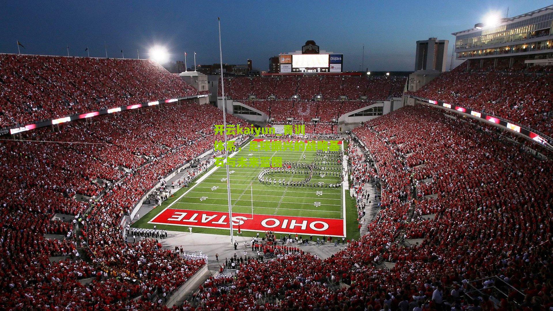 开云kaiyun_青训体系，足球振兴的战略基石与未来蓝图